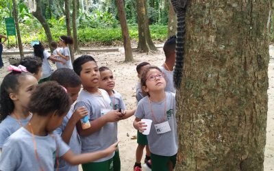 Crianças do CEPAC visitam Parque Laje