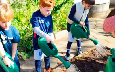 Dia Mundial do Meio Ambiente: colégios da RJE em prol da sustentabilidade