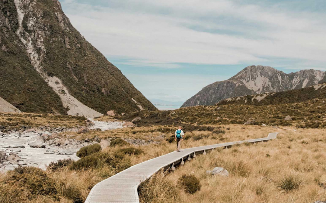 Artigo: “Projeto de vida: um caminho de graça rumo à felicidade”