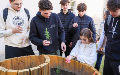 Atividade aproxima alunos do Novo Ensino Médio e dos Anos Iniciais do Colégio Catarinense no cuidado com a Casa Comum