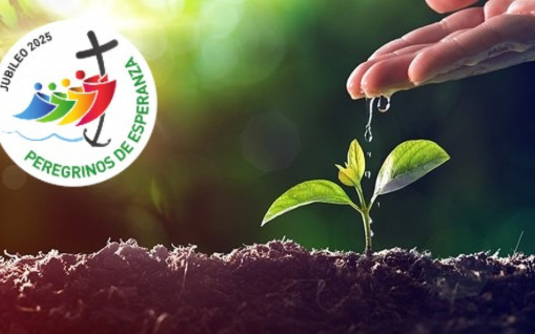 Confira o novo boletim do Centro Virtual de Pedagogia Inaciana (CVPI)