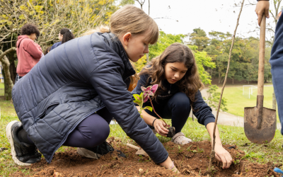 Uma década da Laudato Si’: educar para o cuidado com a Casa Comum